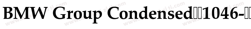 BMW Group Condensed梦祥1046字体转换